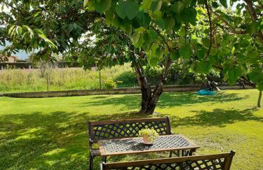 Chrysafis Apartments - Photo 9