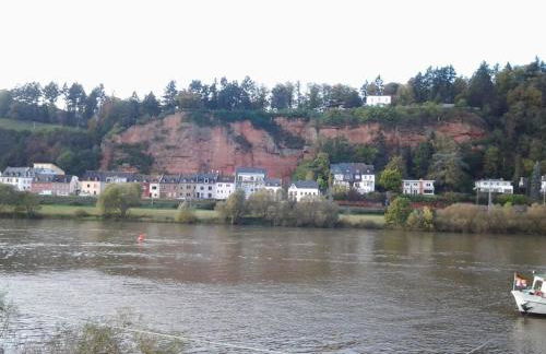 Holiday apartment in Konz with swimming pool - Foto 24