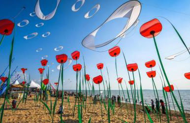 Studio des Haras - Foto 23