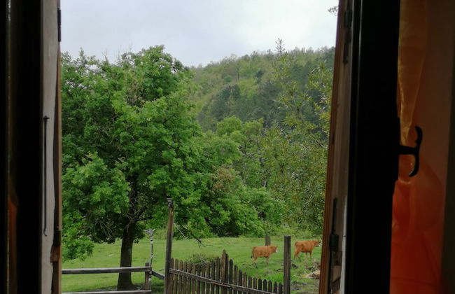 la debbia ranch - Foto 25