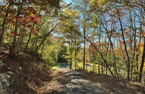 The Lily Pad Cabin, 19 Private Acres, Fire Pit - Foto 30