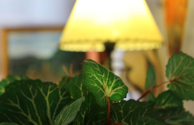 The Fisher Holiday Home - Foto 9