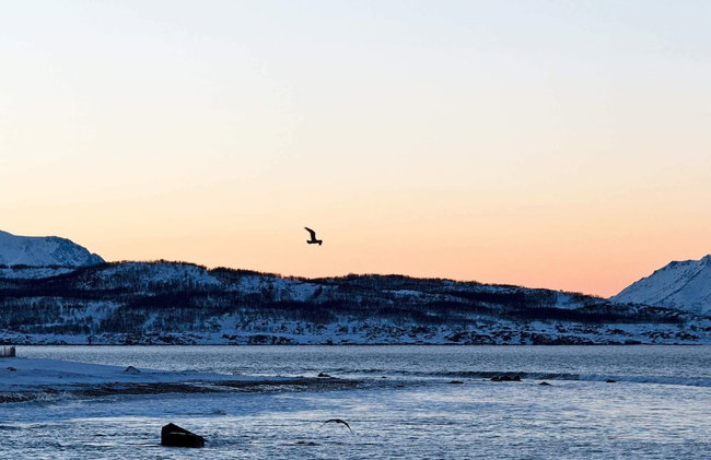 6 Person Holiday Home in Nord-lenangen - Foto 20