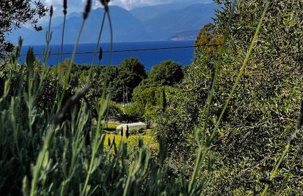 Villa Sania - Foto 45