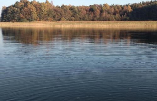 Birchy Hills - Foto 32