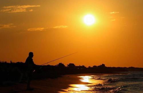 Un coin de campagne à 4km de la mer pour 4 à 6 personnes - Foto 30