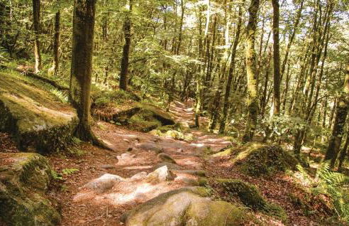 3 Bedroom Gorgeous Home In Plouay - Foto 29