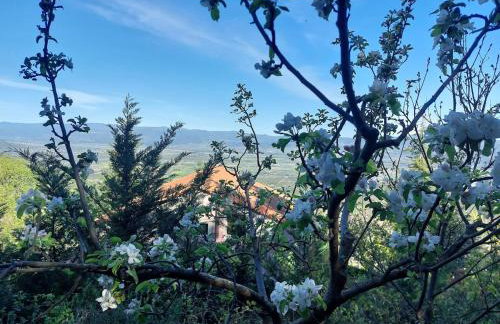 Ipati Forest Chalet - Foto 69