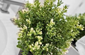 Comfy Apt 5 min walking to Design District apt 4 - Foto 14