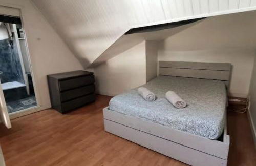 Hypercentre, proche halage et rue principale - Foto 17