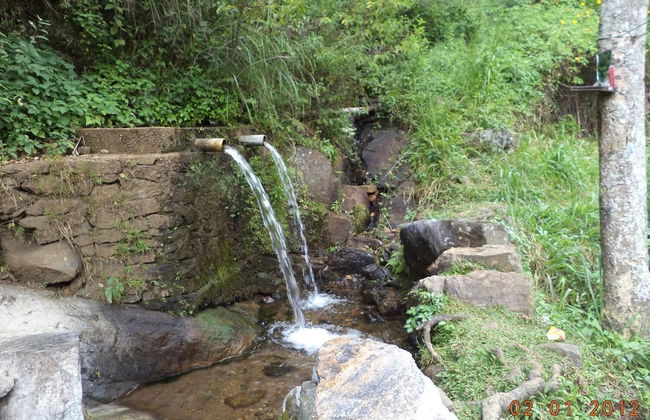 Mount view family rest & cottage - Photo 37