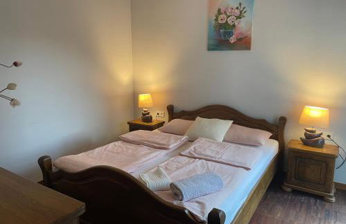 Willa przy lesie - Foto 10