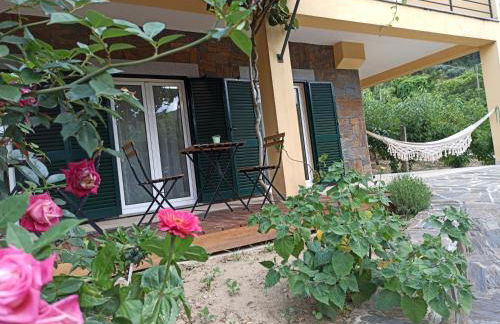 Vineyards Valley House - Foto 14