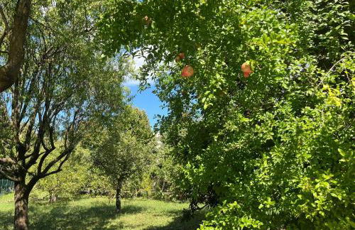 Lake2Lake La Magnolia - Foto 18