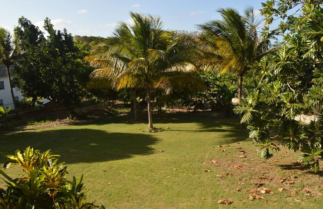 Sea Grove Villa - Photo 23