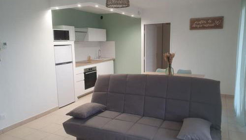 Appartement T2 climatisé avec terrasse - Foto 3