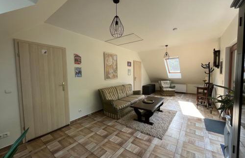 Koci Grzbiet Agroturystyka - Foto 56