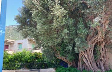 Vιtamin Sea apartment 8, Απολαυστική διαμονή στον Αλμυροπόταμο! - Foto 20