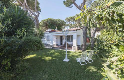 Las Camelias - Foto 2