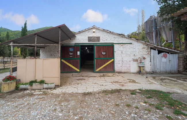 Holiday Home in Ficulle Near Monte Peglia - Foto 31