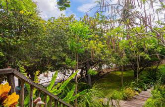 Villa Papagaio - Foto 31