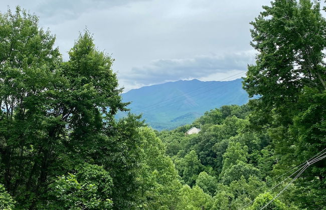 Million Dollar View - Four Bedroom Cabin - Foto 16