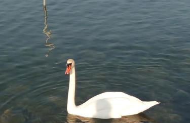 Casa Marisa - Foto 16