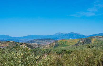 Alma del Tejar Antequera La Higuera by Ruralidays - Foto 35