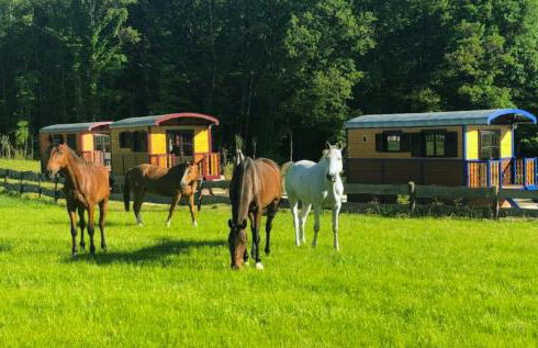 SAS Le Hameau des Grilles - Foto 44