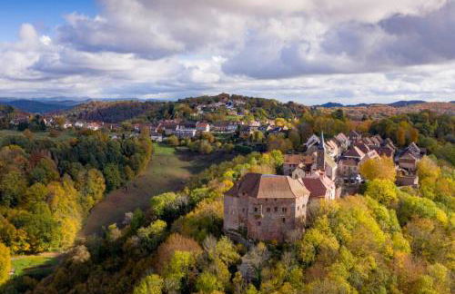 Maison Privilège Nature à La Petite Pierre - Foto 22