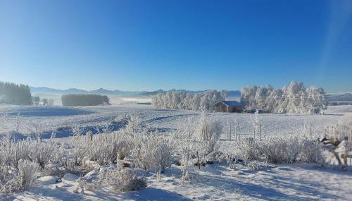 Krottenhill 2 ¼ - Foto 2