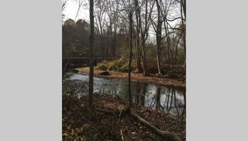 Serenity Views Comfort - Close to City & Parkway! - Foto 4