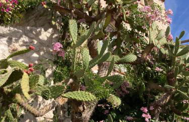 Wunderschöne Wohnung in Jugendstilvilla am Hafen - Photo 20