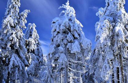 Osada Sierpnica - Uroczy dom z kominkiem i balią w Górach Sowich - Foto 48