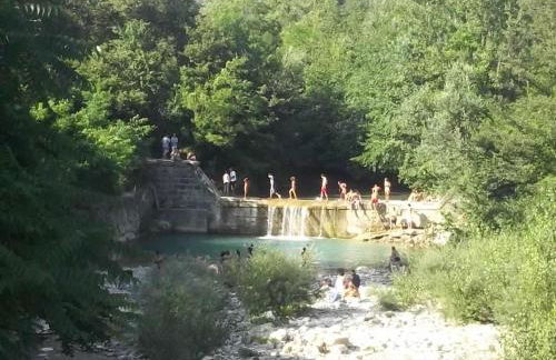 Poet's Rest - Photo 32