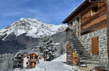 Baita Chalet La Masun beautiful view - Foto 1