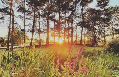 Linlithgow cottage close to Edinburgh - Foto 41