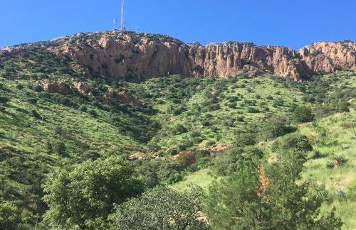 Galeria Viviente Eco Casita - Foto 22