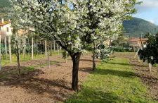 La tenuta di Eva - Foto 18