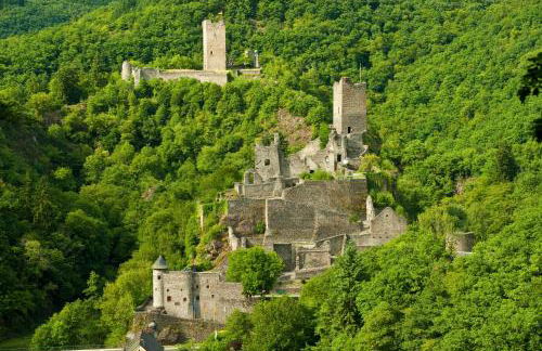 Ferienhaus am Sauerbrunnen - Foto 30