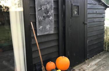 The Old Apple Shed cosy heated cottage in a meadow close to the charming village of Bethersden - Foto 38