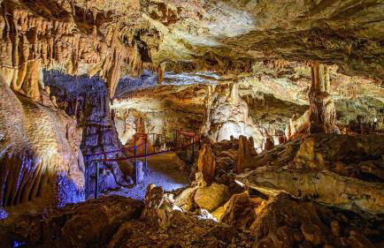 Jardines de Viana - Foto 34