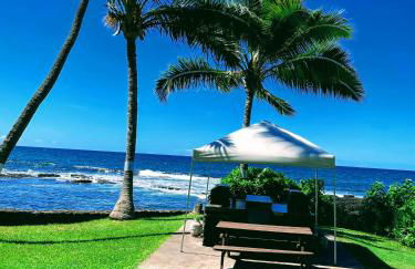 Gorgeous Blue Ocean Views, AC, Sunsets & 1-Min Walk to Beach - Foto 24