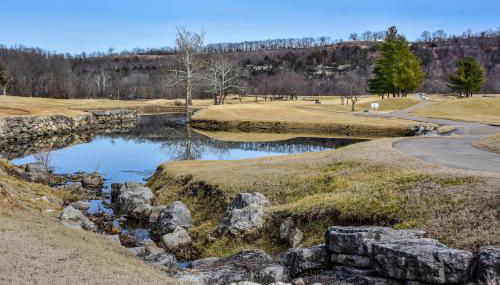 Birdie's Bliss 2BR Condo Sleeps 6! - Foto 4