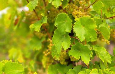 Apartment Lollo - Foto 24