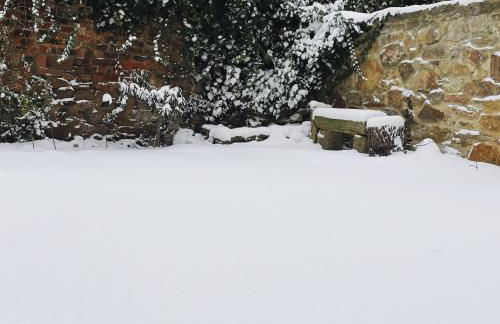 Ferienwohnung Paulick I Zentrales Altstadt Apartment I Garten Terrasse Grill I 2 Schlafzimmer - Photo 26