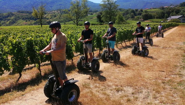 Saint-André Lake Vinyard Segway Tour - Foto 3