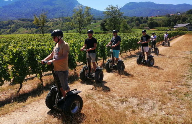 Saint-André Lake Vinyard Segway Tour - Foto 3