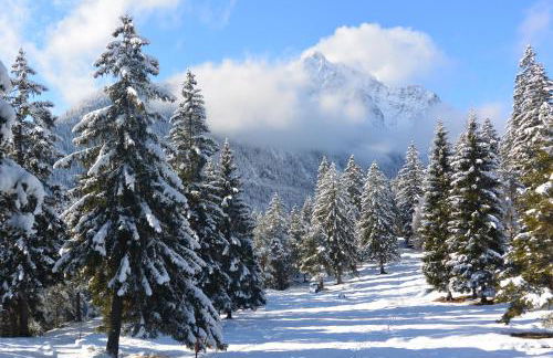 Ferienhaus Bichler - Foto 30