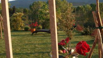 Casa la Pineta - Foto 4